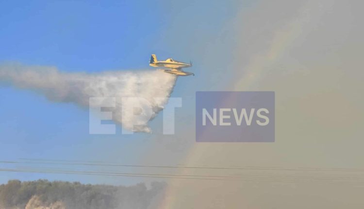 Λευκάδα:-Φωτιά-σε-δασική-έκταση-στο-νησάκι-Κάλαμος-–-Σηκώθηκαν-5-εναέρια-μέσα