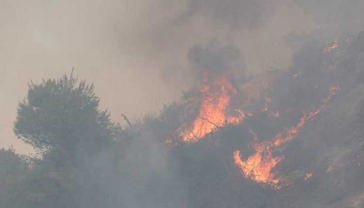 Φωτιά-σε-δασική-έκταση-στη-Μαμουλάδα-Αιτωλοακαρνανίας-–-Ισχυρές-δυνάμεις-στο-μέτωπο
