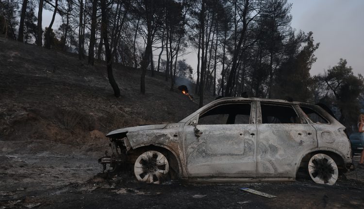 «Το-μεγάλο-στοίχημα-είναι-να-μην-περάσει-η-πυρκαγιά-στην-Ελάνη»,-λέει-καθηγητής-Δασολογίας-για-τη-φωτιά-στη-Σίβηρη