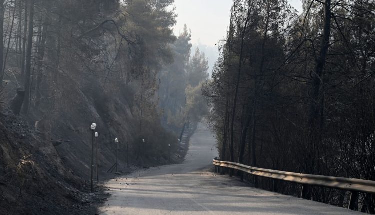 Σε-ισχύ-και-τον-Δεκαπενταύγουστο-η-απαγόρευση-της-κυκλοφορίας-σε-δασικές-περιοχές-της-Χαλκιδικής