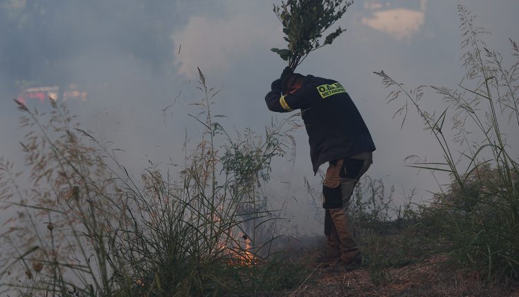 Οριοθετήθηκε-η-φωτιά-στην-Κω-μετά-την-ολονύχτια-μάχη-–-Σε-επιφυλακή-η-Πυροσβεστική