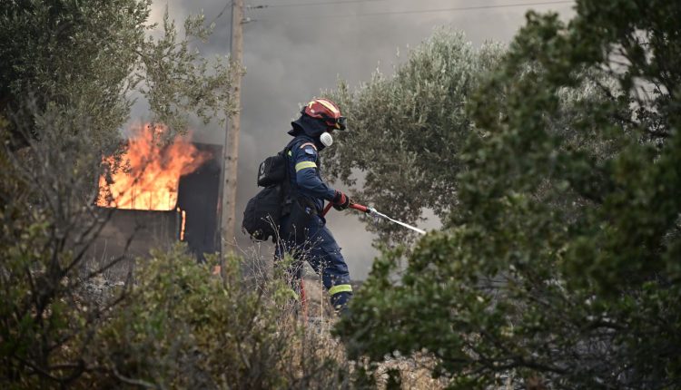 Φωτιά-σε-δασική-έκταση-κοντά-στο-καταφύγιο-της-Πρώτης-Σερρών