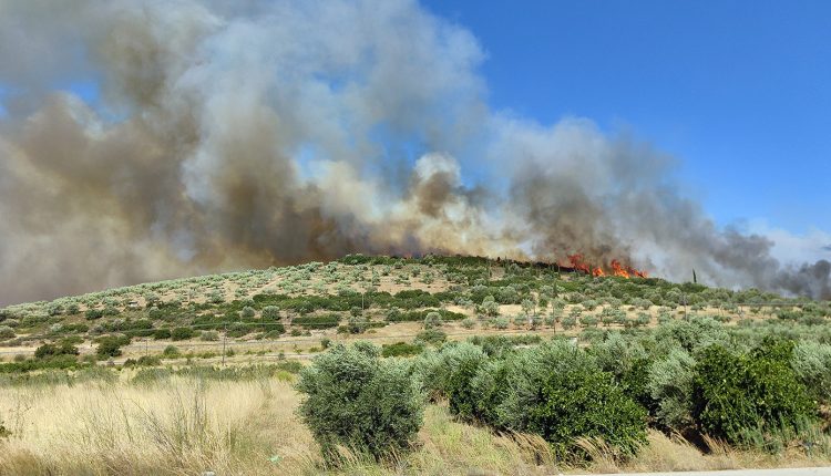 Βελτιωμένη-η-εικόνα-της-πυρκαγιάς-σε-αγροτοδασική-έκταση-στην-Ελάτεια-Φθιώτιδας