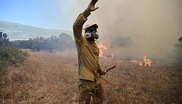 Χωρίς-ενεργό-μέτωπο-η-φωτιά-σε-δασική-έκταση-στη-Δημοτική-Ενότητα-Αιανής-στην-Κοζάνη