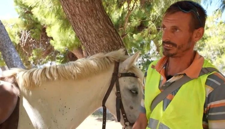 Άνδρος-–-Πρόστιμο-700-ευρώ-σε-αναβάτη-αλόγου-μετά-από-αλκοτέστ:-«Μπορεί-να-ήταν-λίγο-επικίνδυνο»