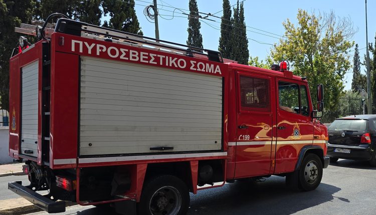 Φωτιά-σε-χαμηλή-βλάστηση-στο-Στόμιο-Λάρισας
