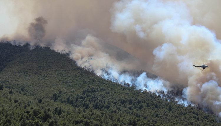 Κόνιτσα:-Φωτιά-στο-όρος-Τύμφη-από-κεραυνό-–-Σε-δύσβατο-σημείο-στα-1.200-μέτρα-το-μέτωπο