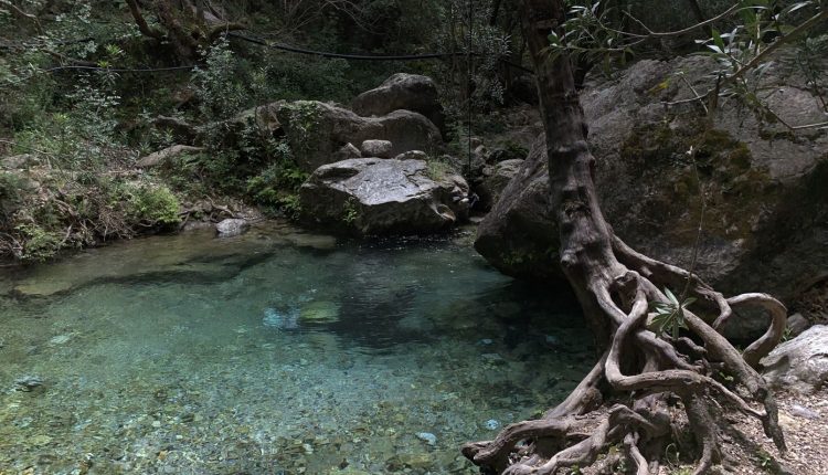 Πνιγμό-έδειξε-η-ιατροδικαστική-για-τη-18χρονη-στους-καταρράκτες-Δερματά-–-Ο-φίλος-της-την-είδα-να-χάνεται-μπροστά-στα-μάτια-του