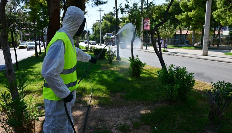 Ιός-Δυτικού-Νείλου:-Πρώτο-κρούσμα-στην-Κρήτη-–-Στη-ΜΕΘ-63χρονη-–-Εντείνονται-οι-ψεκασμοί