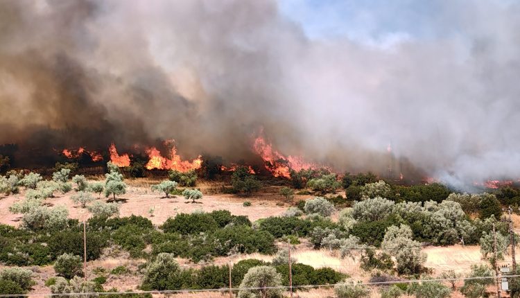 Υπό-έλεγχο-η-πυρκαγιά-σε-αγροτική-έκταση-στην-Αιγιαλεία