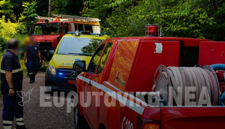 Αγροτικό-αυτοκίνητο-με-δύο-άτομα-έπεσε-σε-γκρεμό-στα-Άγραφα-–-Χρειάστηκε-η-παρέμβαση-της-ΕΜΑΚ-για-τον-απεγκλωβισμό-του-ενός