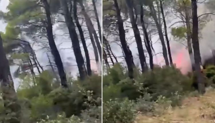 Φωτιά-τώρα-στις-περιοχές-Άγιος-Αθανάσιος-και-Τριάδα-στην-Εύβοια