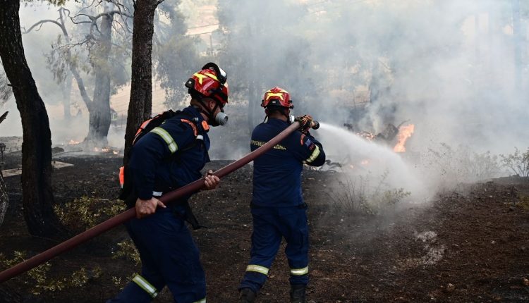 Φωτιά-στην-Πρέβεζα:-Μεγάλη-κινητοποίηση-της-Πυροσβεστικής-στο-Θεσπρωτικό