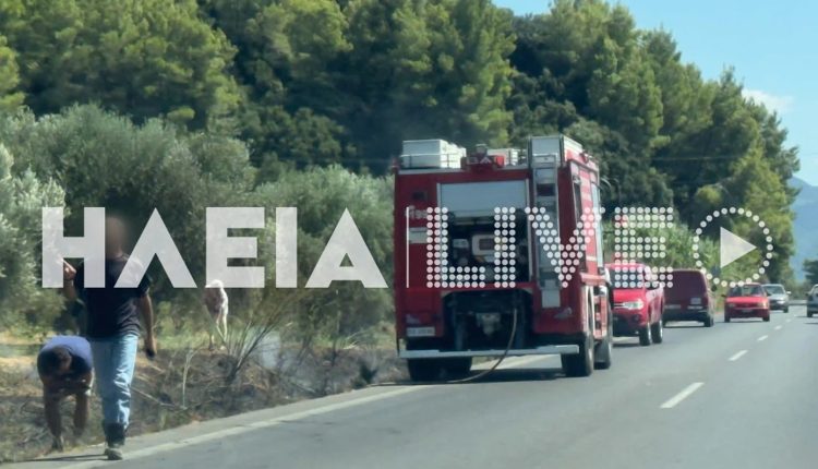 Ηλεία:-Δύο-πυρκαγιές-μέσα-σε-λίγα-λεπτά-–-Άμεση-επέμβαση-της-Πυροσβεστικής