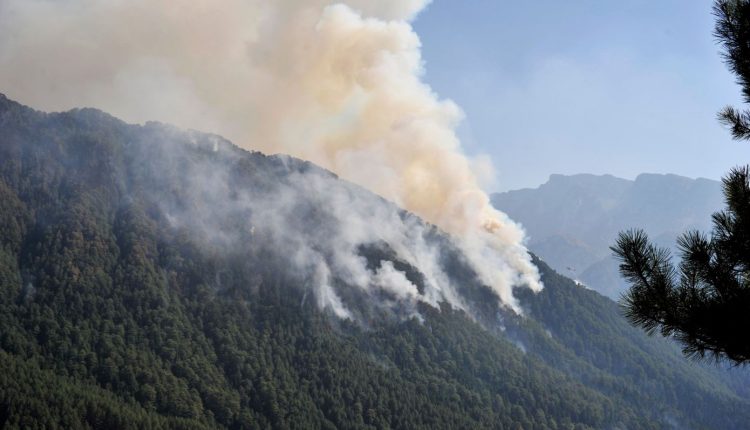 Κόνιτσα:-Βελτιωμένη-η-εικόνα-της-φωτιάς-στην-Τραπεζίτσα-–-6.290-στρέμματα-έγιναν-στάχτη-–-Συνεχίζουν-να-επιχειρούν-τα-εναέρια