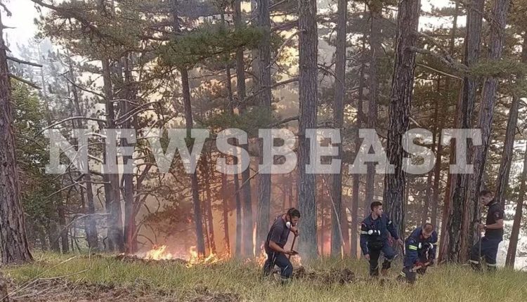 Σε-τροχιά-ύφεσης-η-φωτιά-στην-Κόνιτσα:-Αρκετά-βελτιωμένη-η-κατάσταση-χάρη-στην-υπεράνθρωπη-προσπάθεια-δασοκομάντος-και-δασεργατών