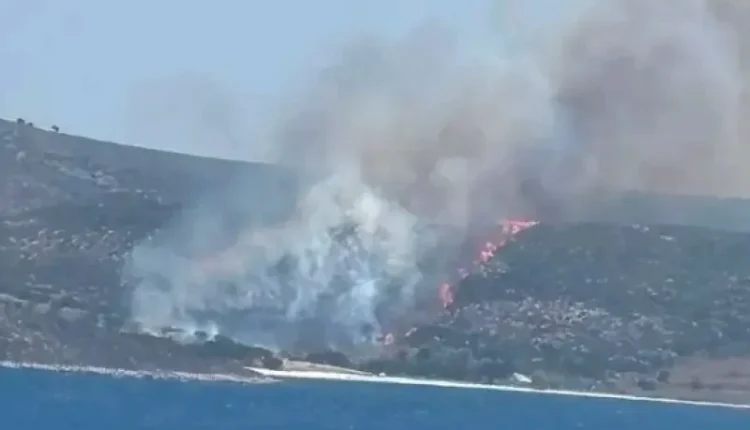 Σε-εξέλιξη-η-πυρκαγιά-στη-Σκύρο-–-Ενισχύθηκαν-οι-εναέριες-δυνάμεις