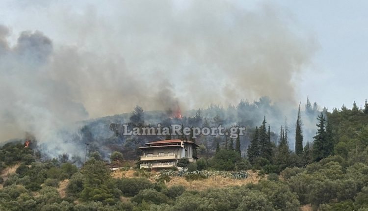 Φωτιά-τώρα-σε-αγροτοδασική-έκταση-στην-Πελασγία-Φθιώτιδας,-πολύ-κοντά-σε-σπίτια-–-Επιχειρούν-5-εναέρια-μέσα