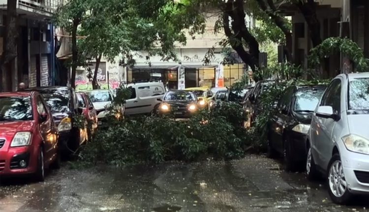 Πτώση-δέντρου-λόγω-κακοκαιρίας-και-διακοπή-κυκλοφορίας-στη-συμβολή-της-Διδότου-με-τη-Χαριλάου-Τρικούπη-στα-Εξάρχεια