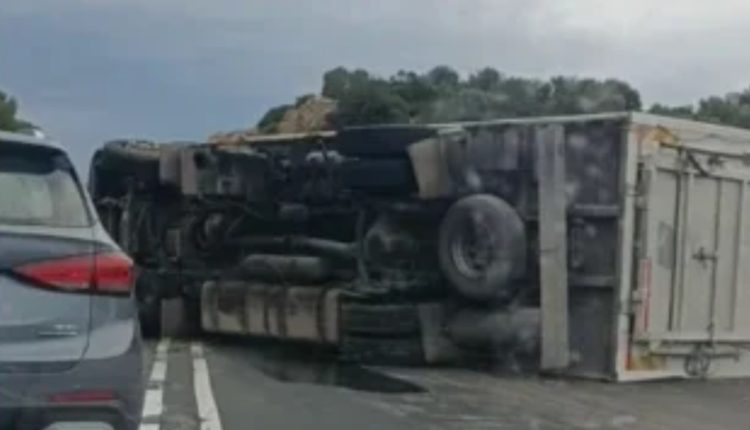 Ανατροπή-νταλίκας-στον-ΒΟΑΚ-–-Νεκρά-ζώα-στην-άσφαλτο