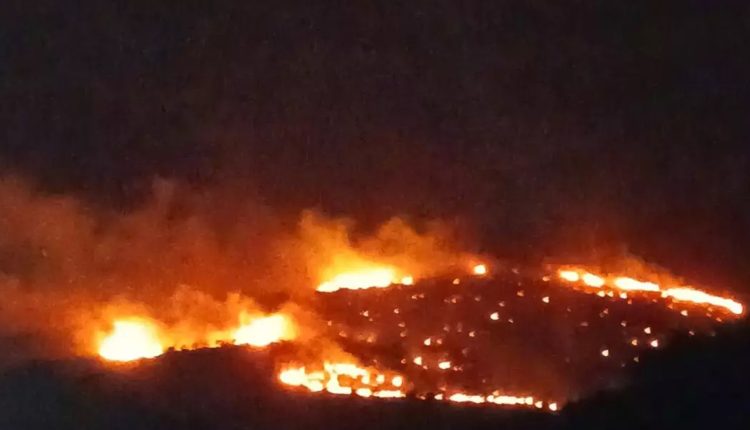 Οριοθετήθηκε-η-φωτιά-σε-χαμηλή-βλάστηση-στην-Καλλονή-Λέσβου