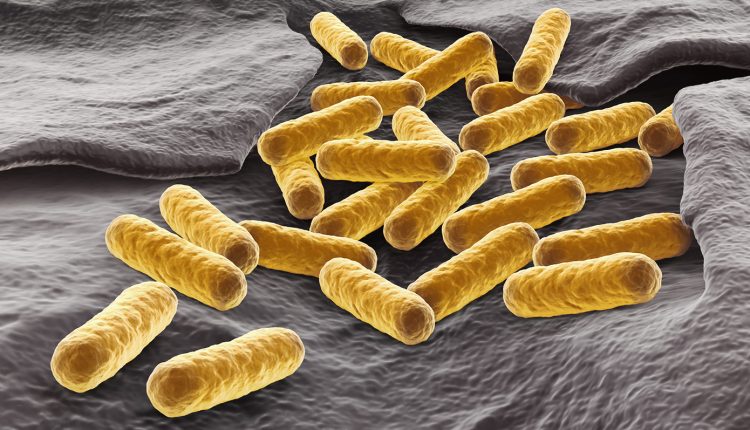 Γενετικά-τροποποιημένο-e.-coli-μετατρέπει-τους-όγκους-σε-μικροσκοπικά-«εργοστάσια»-αντικαρκινικών-φαρμάκων