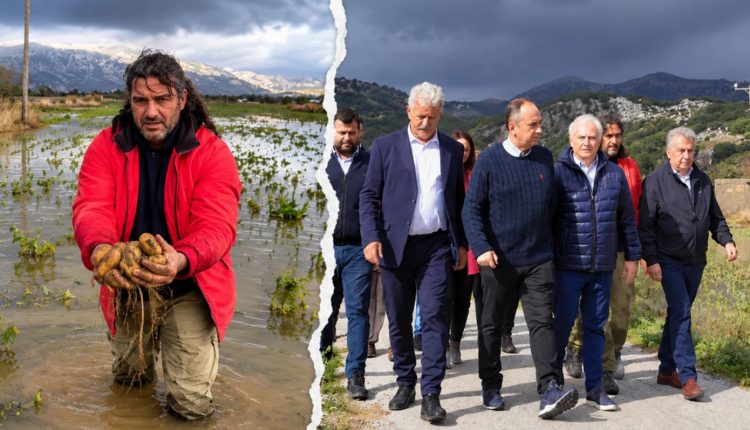 «Δεν-συγκομίσαμε-ούτε-το-20%»:-Κάτω-από-τη-λάσπη-η-σοδειά,-στον-αέρα-η-επόμενη-χρονιά-στο-Λασίθι-–-Τα-μέτρα-στήριξης-που-έρχονται