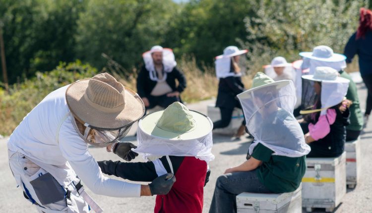 ΘΕΟΝΗ-&-bee-for-planet:-Από-την-υιοθεσία-25-μελισσιών-στη-βιωματική-δράση-για-τη-βιοποικιλότητα