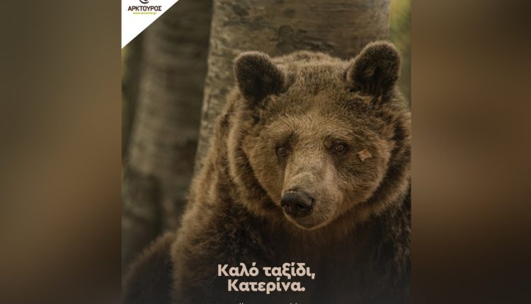 Ο-Αρκτούρος-αποχαιρετά-την-«ατίθαση»-Κατερίνα
