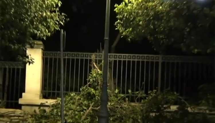 Έξι-πυροσβέστες-με-δύο-οχήματα-και-συνεργεία-του-Δήμου-Αθηναίων-απομάκρυναν-το-δέντρο-που-έπεσε-στην-Ηρώδου-Αττικού
