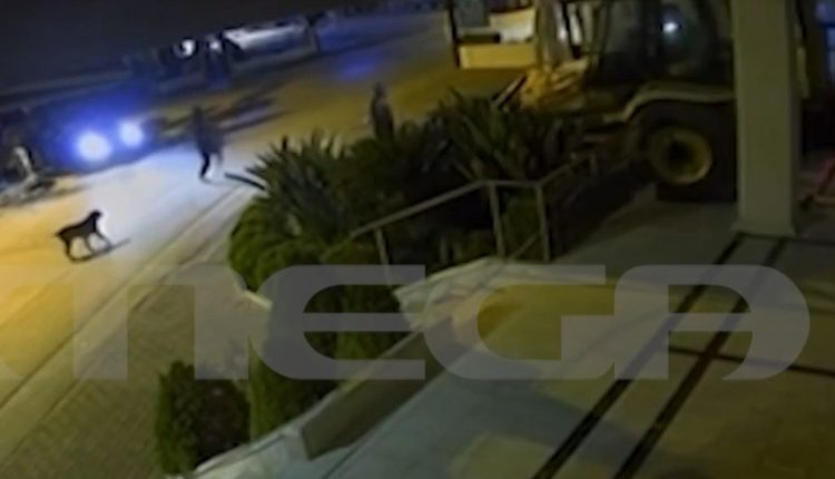 Εισέβαλαν-σε-κοσμηματοπωλείο-στην-Αυλίδα-με…-σκαπτικό-μηχάνημα-–-Δείτε-βίντεο