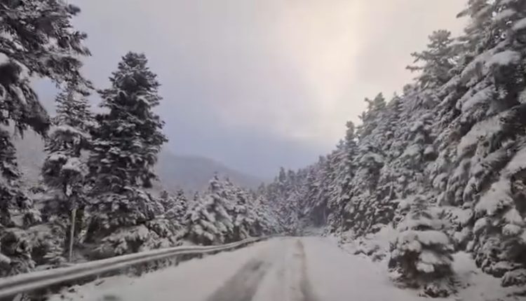 Σφοδρή-χιονόπτωση-στον-Παρνασσό-–-Δείτε-βίντεο